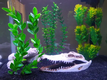 جمجمه تزیینی آکواریوم کد MS