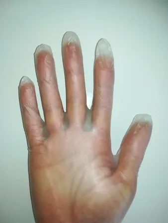 دستکش وینیل اپی پرفکت مدل 100 سایز لارج بسته 100 عددی