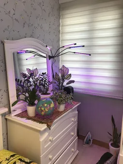 چراغ رشد گیاه 40 وات مدل Quad Head