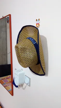 کلاه حصیری مدل کابوی