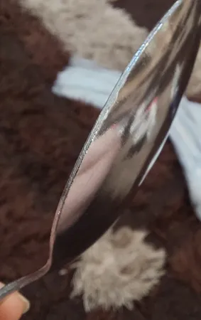 سرویس قاشق و چنگال غذاخوری 12 پارچه مدل 3817N