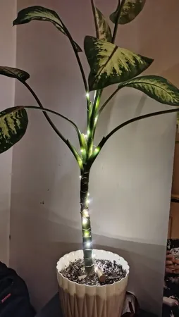 ریسه ال ای دی مدل درب بطری طول 2 متر