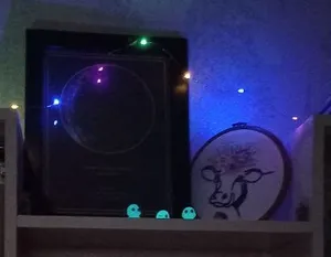 تجریه خرید مجسمه مدل ارواح شبتاب بسته 3 عددی