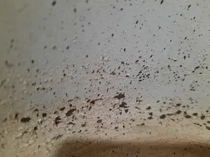 تجریه خرید تابه عروس مدل ویکتوریا دربدار سایز 36