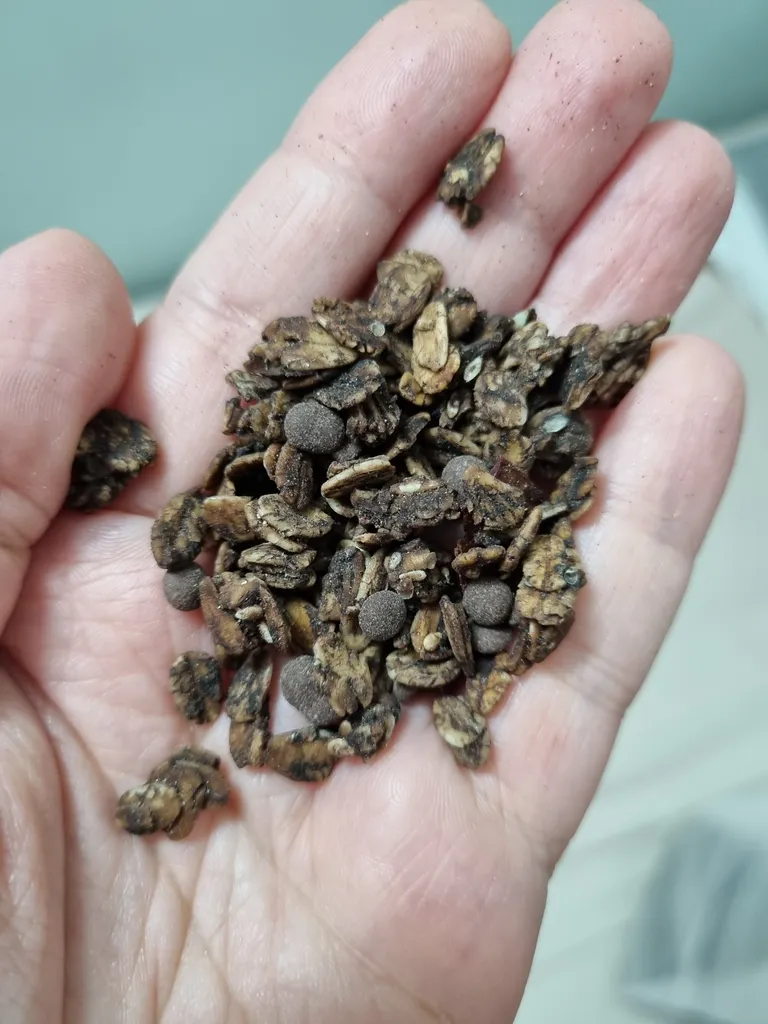 گرانولا شکلاتی فام لند - 500 گرم