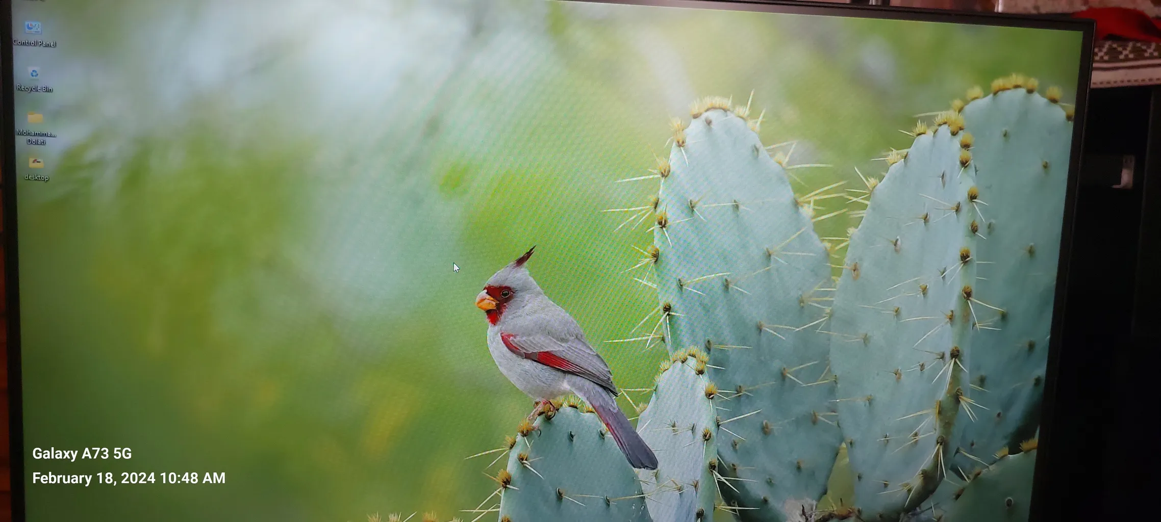 مانیتور میوا مدل 24HM2FVY-A3 سایز 24 اینچ