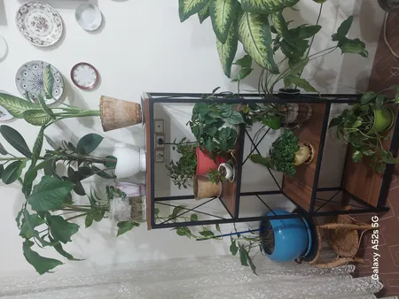 کتابخانه مدل NA-20516