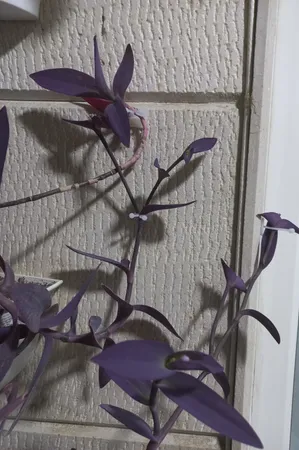 نظم دهنده سیم مدلs120 بسته 20 عددی