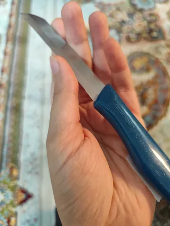 چاقو آشپزخانه فاردینوکس مدل Berlini 02 بسته دو عددی