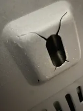 تجریه خرید بخاری گازی جنرال افروز مدل F4200 بدون دودکش