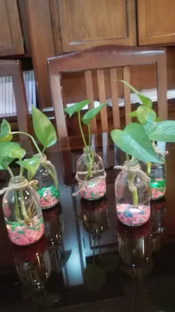 شن رنگی تزیینی مدل 106 وزن 500 گرم 6 عددی