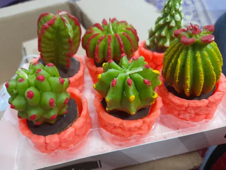 شمع طرح کاکتوس مجموعه 6 عددی