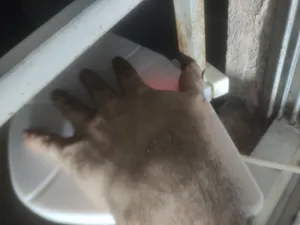 تجریه خرید آنتن هوایی هانی کد 97