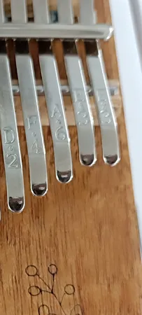 کالیمبا والنسیا مدل KLLM