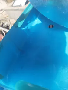 تجریه خرید کولر آبی 2800 برفاب مدل BF2