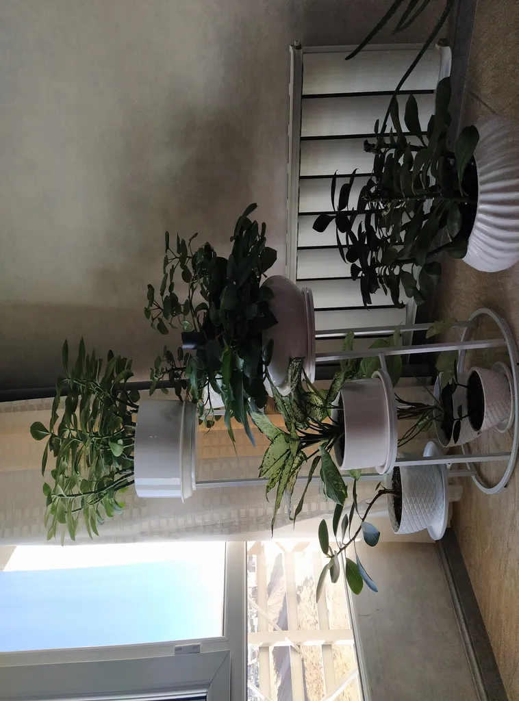 استند گلدان مدل پیچک گرد