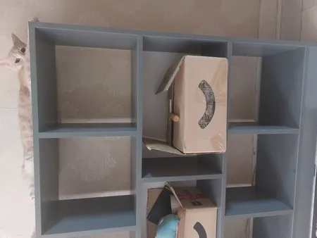 کتابخانه مدل ‌‌pm2010