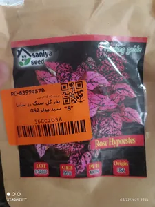 تجریه خرید بذر گل سنگ رز سانیا سید مدل GS2