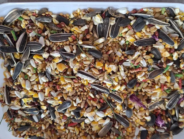 عکس ارسالی خریدار