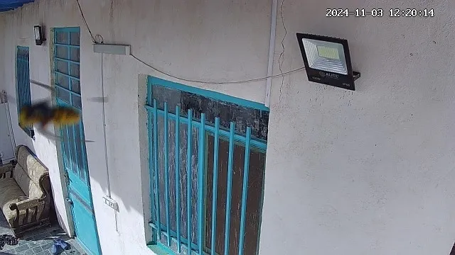 دوربین مداربسته تحت شبکه تکنیکس مدل 4G Wifi Mini MS410