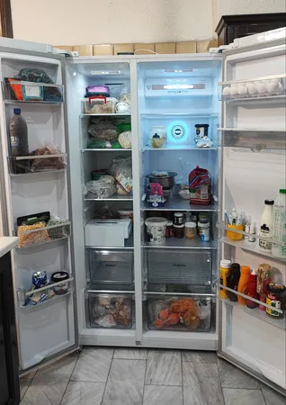 یخچال و فریزر ساید بای ساید 30 فوت ایکس ویژن مدل TS666-AWD/ASD