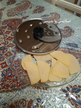 غذاساز تولیپس مدل Fp_a460
