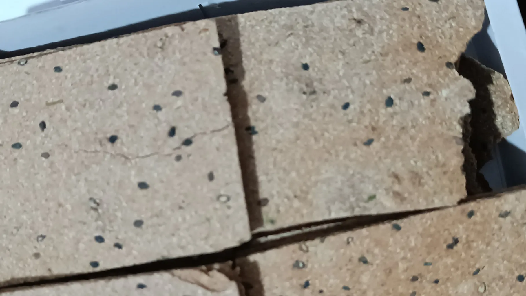 نان خشک فلاوینا با پودر هسته خرما - 250 گرم