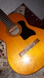 گلپیدور گیتار مدل B050