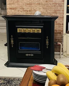 تجریه خرید بخاری گازی ایران شرق مدل 220 بنیامین طرح مدرن