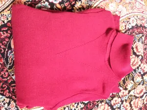 تجریه خرید پلیور مردانه مدل یقه اسکی کد 03