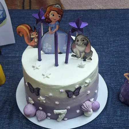 مجموعه 58 عددی تم تولد مسترتم طرح سوفیا پلاس