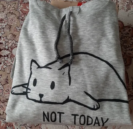 هودی زنانه طرح Not Today کد S361