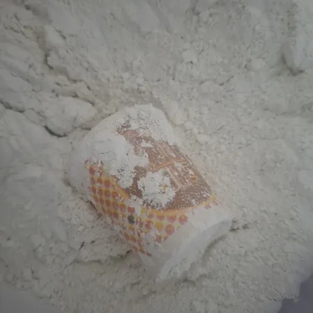 پودر گچ مجسمه سازی صفوی زاده مدل آلفا کد 1508