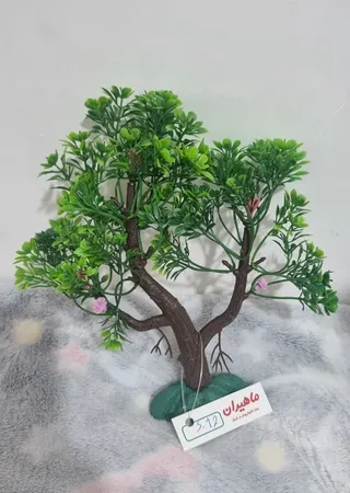 گیاه تزیینی آکواریوم مدل درختچه کد 1