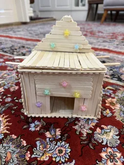 چوب بستنی مدل G12 بسته بندی 800 عددی