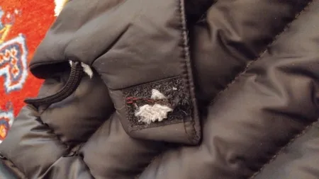 کاپشن مردانه مدل رایان کد 2023 Da-Km-EbSh-Me