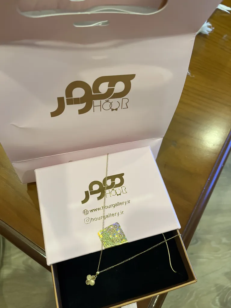 آویز گردنبند طلا 18 عیار زنانه هور گالری مدل ونکلیف مینیمال بزرگ کد RCP200