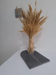 تجریه خرید سینی مدل رنگین کمان Rainbow