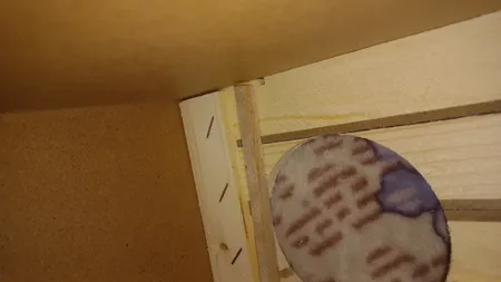 لانه پرنده مدل عروس هلندی درب کشویی طرح چوبی