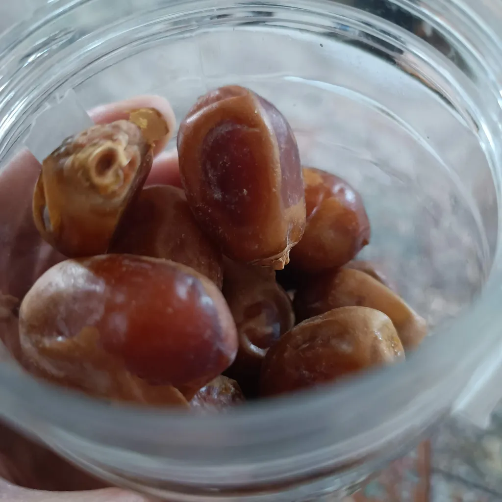 خرما خشک ممتاز سرمد - 450 گرم