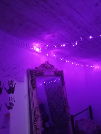 ریسه ال ای دی مدل سوزنی طرح پر طول 10 متری