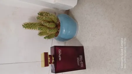 ادو پرفیوم زنانه جاسپر پرفیوم مدل Ephoria حجم 100 میلی لیتر