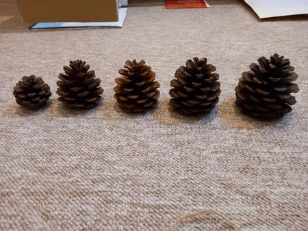 میوه تزیینی کاج مدل 121111مجموعه 5 عددی