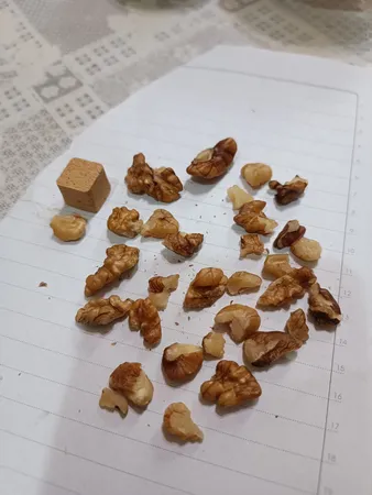 مغز گردو دندانه اکبر راستگو - 500 گرم