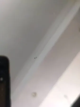 آینه الف مدل   قدی طرح تاج کد 2