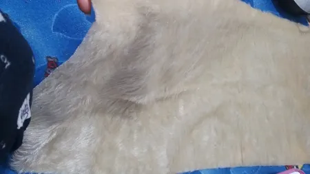 خز طاقچه عقب خودرو مدل T5