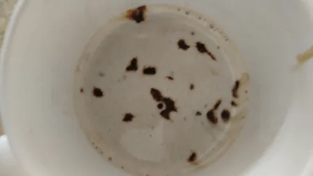 همزن شیر هونگژین