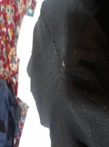 تجریه خرید شلوار جین زنانه مدل ایلا کد 03