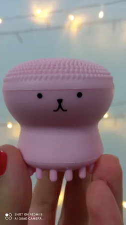 برس پاک‌سازی مدل B 0101