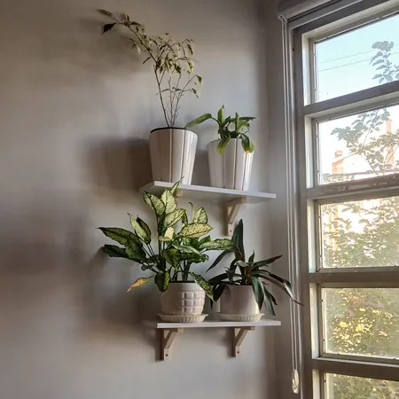 شلف دیواری سنجاب وود مدل sw14